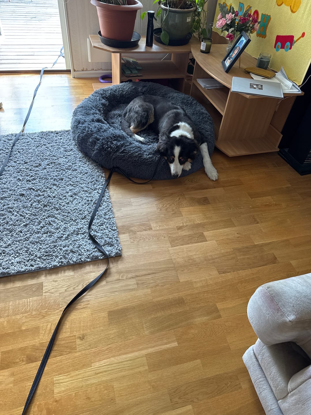 Customer photo review of CalmBed överdrag