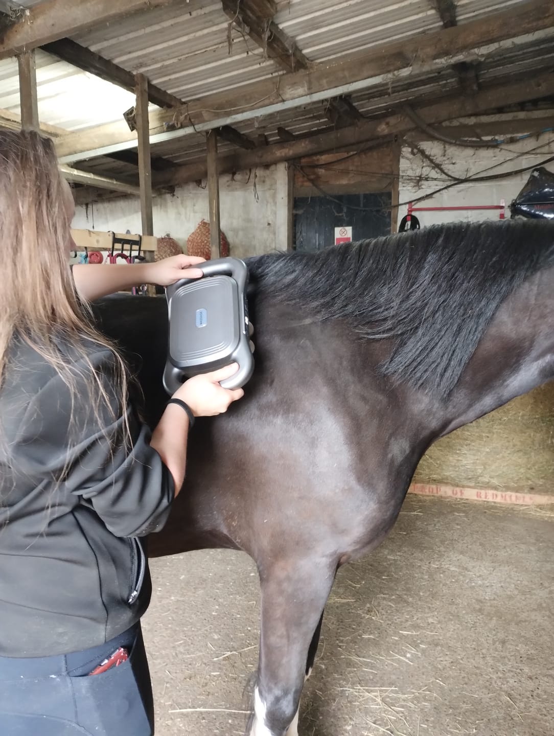 Customer photo review of HorseHalo™ 8 Heads Red Light Massage Gun