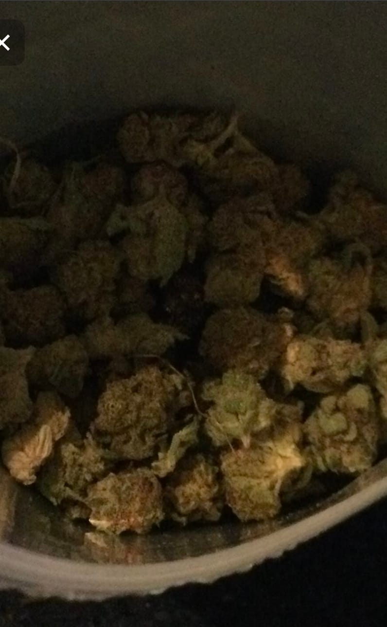 Customer photo review of Wedding Cake - Minis - 28 Grams - Indica