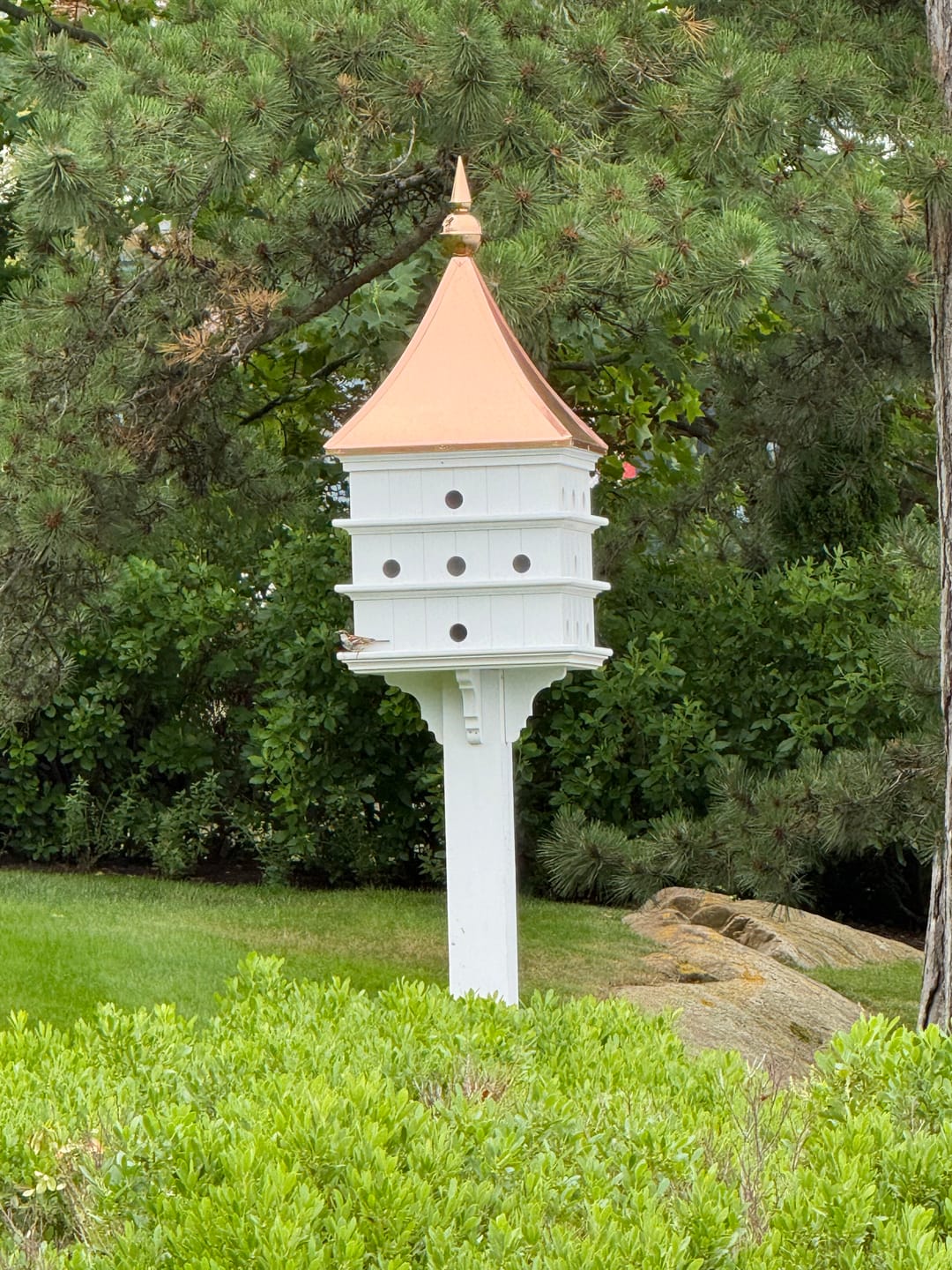 Customer photo review of Sloped Grand Estate Purple Martin Copper Roof Birdhouse