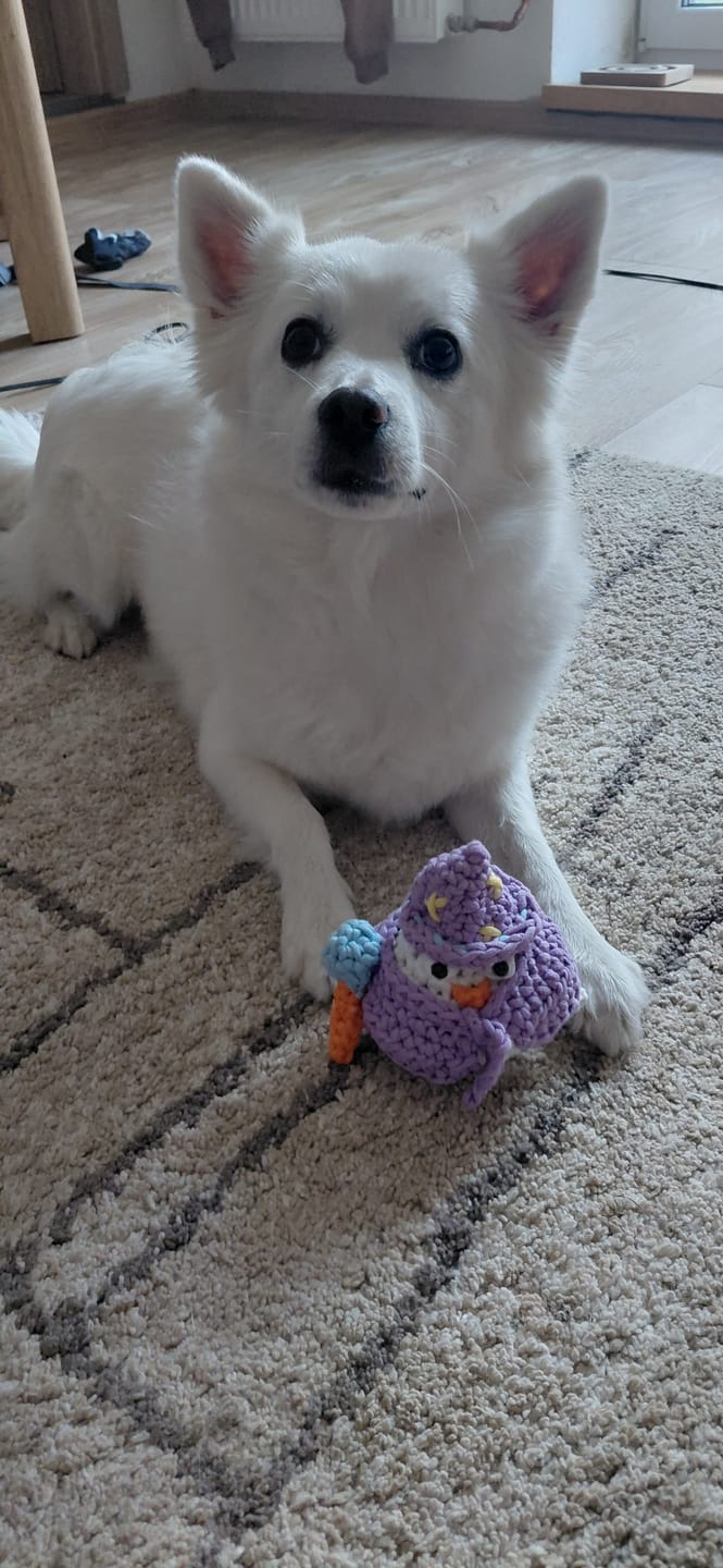 Customer photo review of Merlin the Wizard Owl Crochet Kit