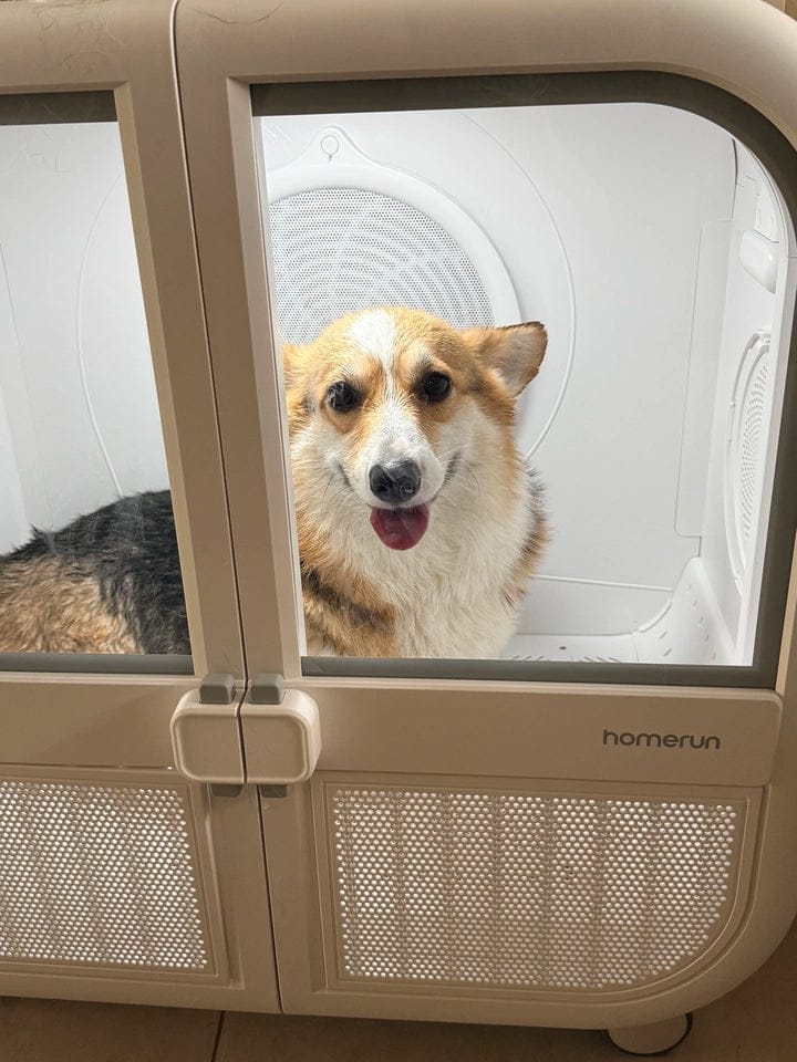 Customer photo review of homerunPET 「Drybo Ultra」ペットドライヤーハウス（7月下旬発送）