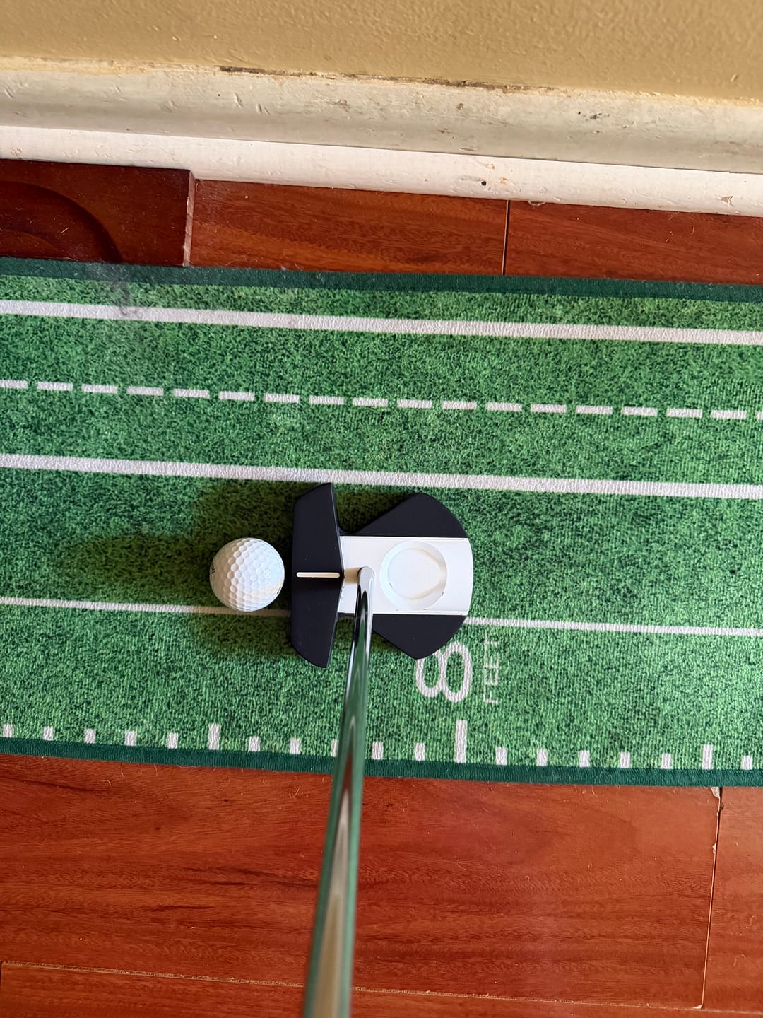 Customer photo review of Zero T ZT-4 Putter