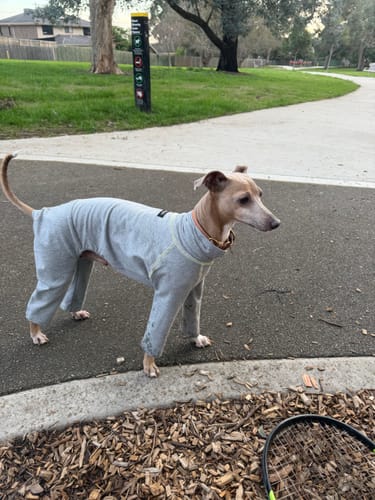 Customer photo review of Signature Warmth Bundle