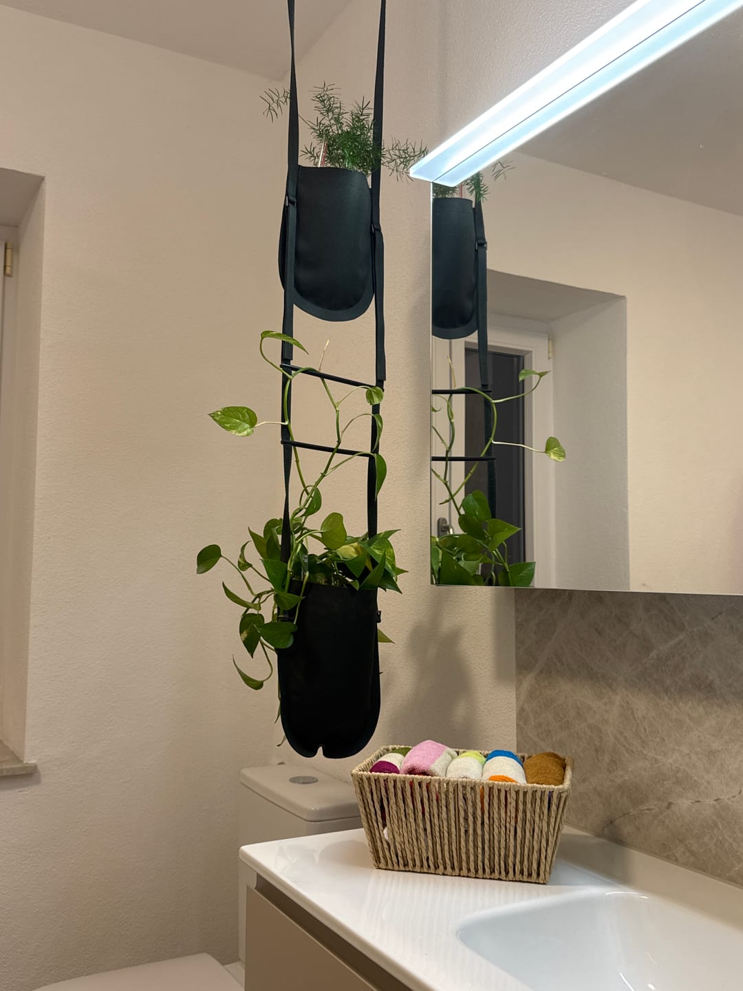 Customer photo review of Urban Garden Pflanztasche M