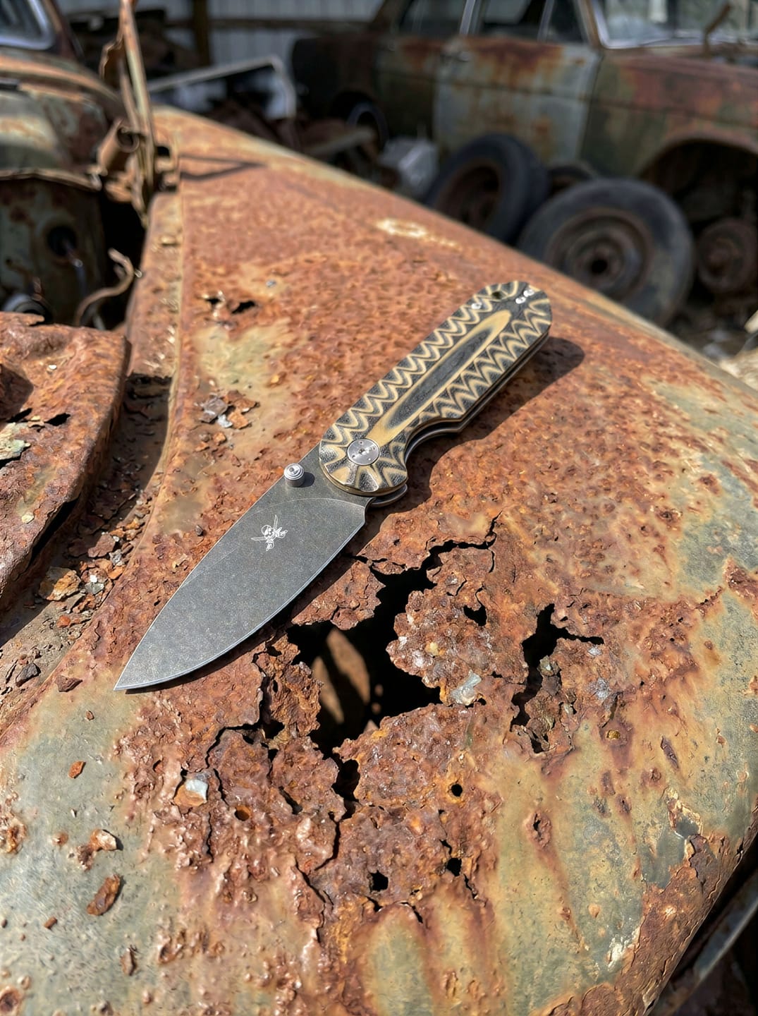 Customer photo review of SeaRoach - Black & Tan
