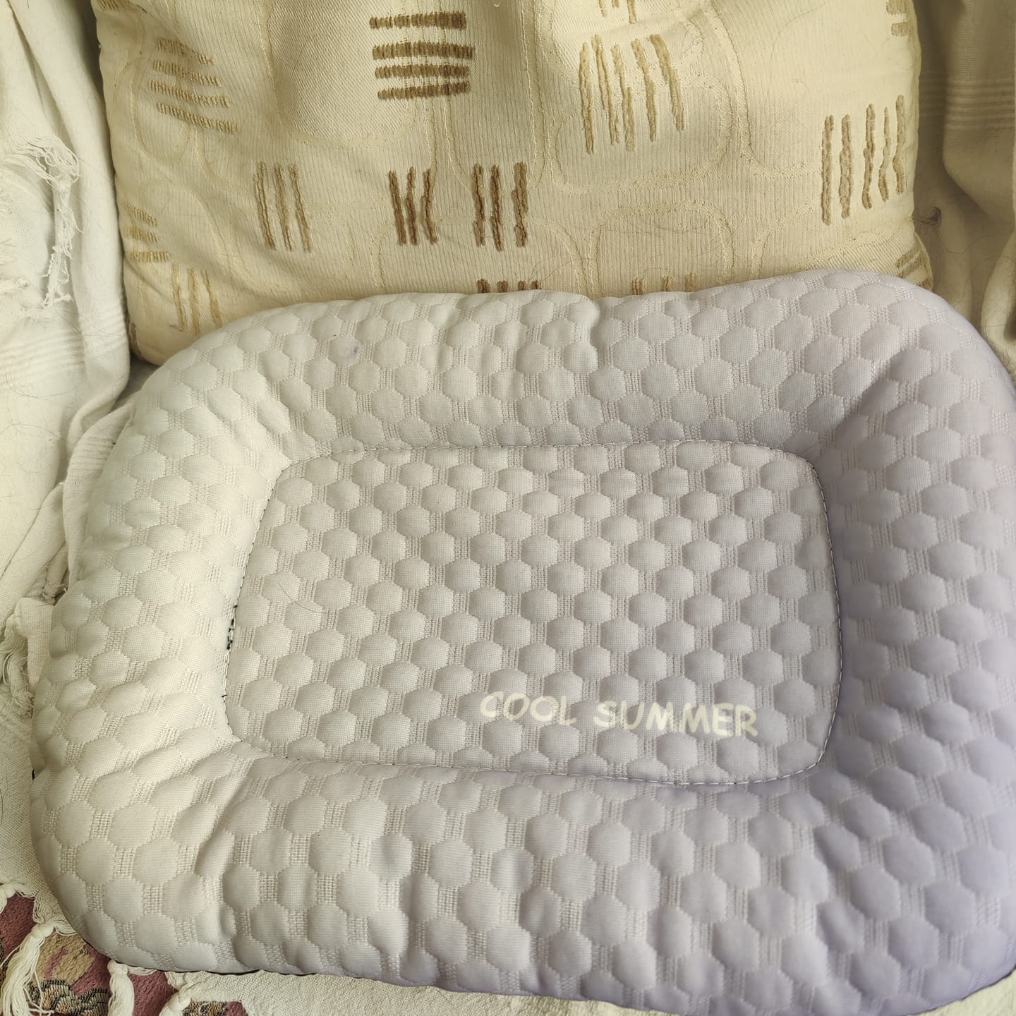 Customer photo review of Ice Silk Pet Cooling Mat – Breathable Summer Cooling Bed for Dogs & Cats