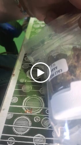 Customer video review of CALI MIX AAA+ – Premium Selection