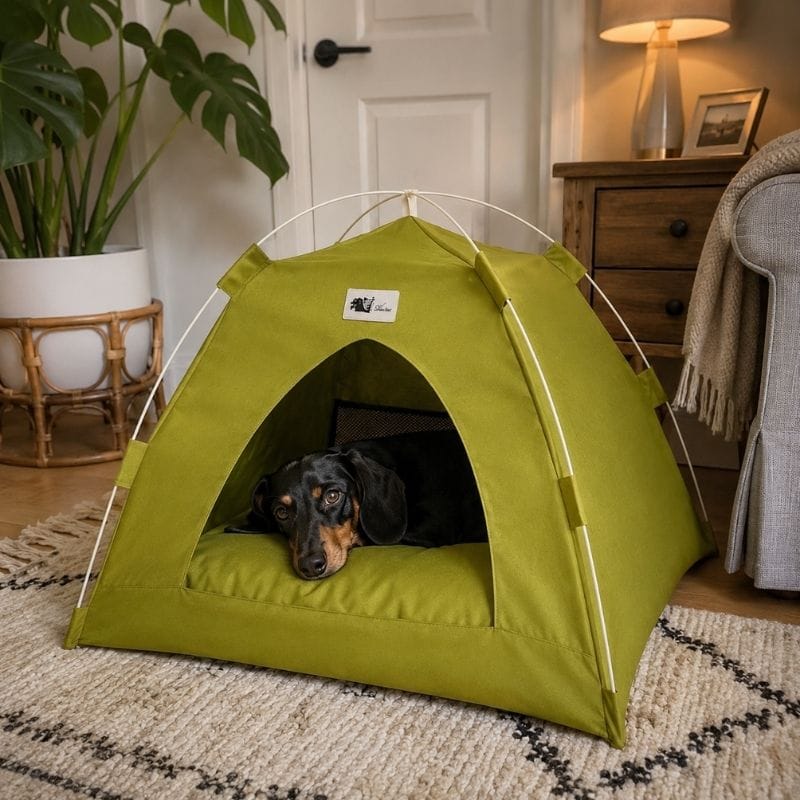 Customer photo review of Cozy Dachshund Tent House