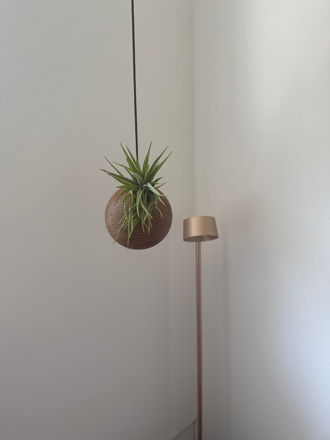 Customer photo review of Tilly Xylo Globus