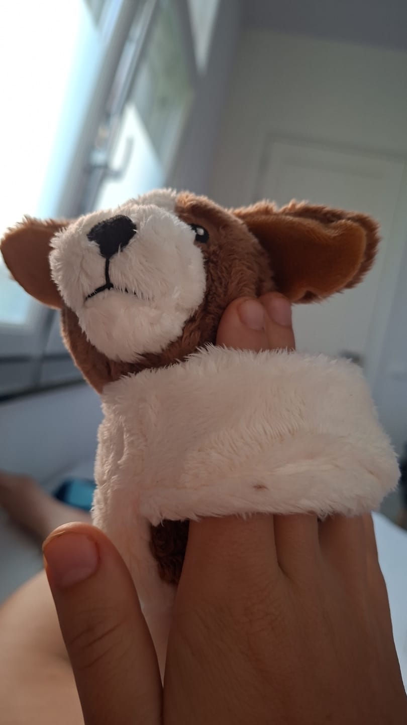 Customer photo review of Lotgenootje Hond 2kg