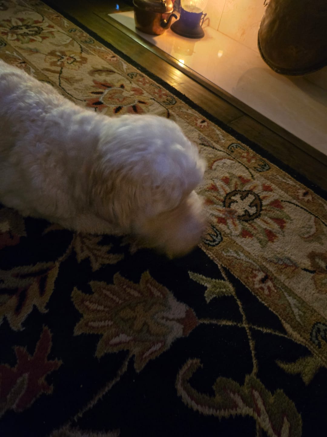 Customer photo review of Bully Stick Cold Dried Raw 6”