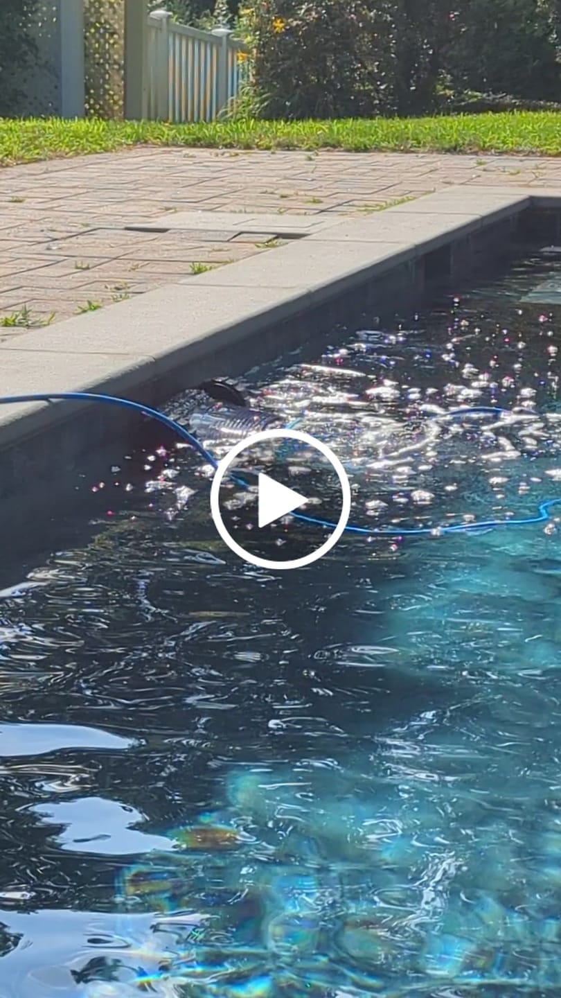 Customer video review of Dolphin Active 2000 Corded Robotic Pool Vacuum Maytronics - Enhanced Warranty Included