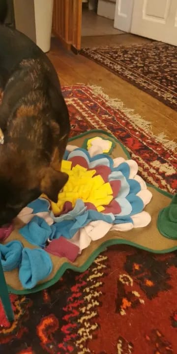 Customer photo review of TruePet Schnüffelmatte Hund | Nasenarbeit & Intelligenzspielzeug | Anti-Langeweile Futtermatte