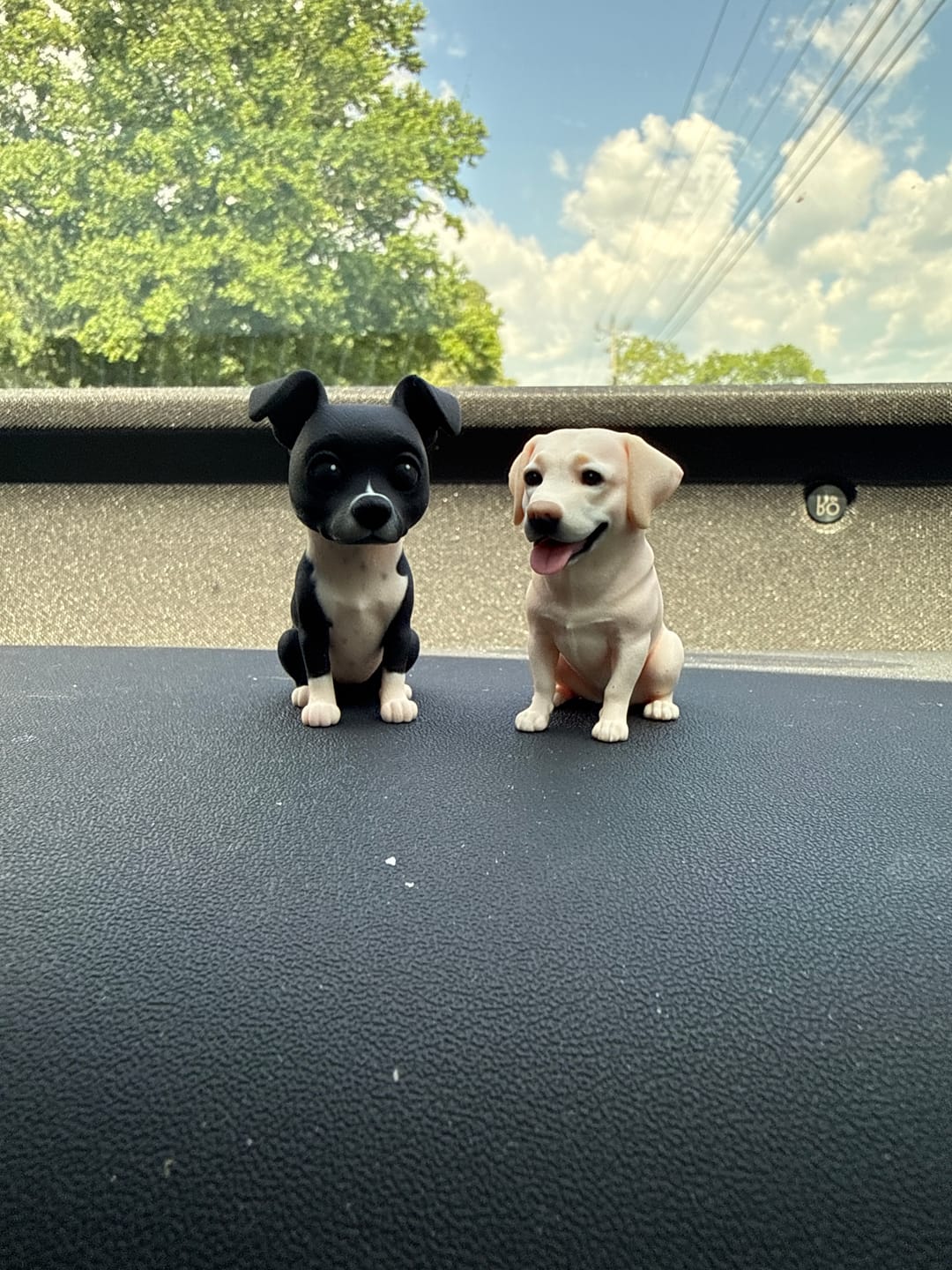 Customer photo review of Custom 3D Pet Figurine - From Your Photo