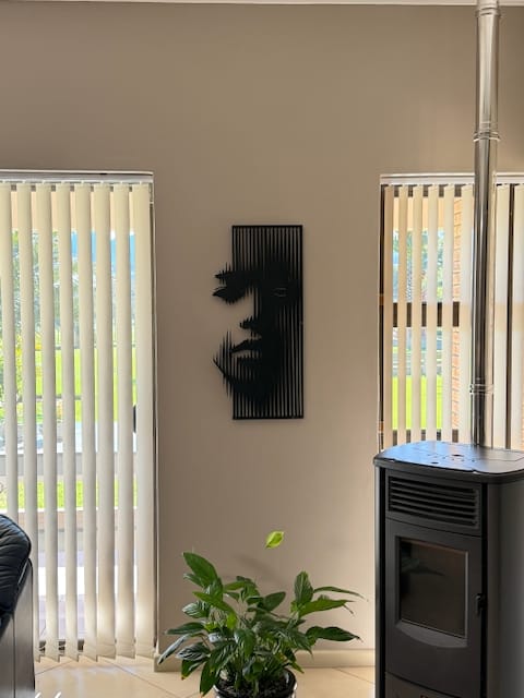 Customer photo review of Veiled Expression Metal Wall Art