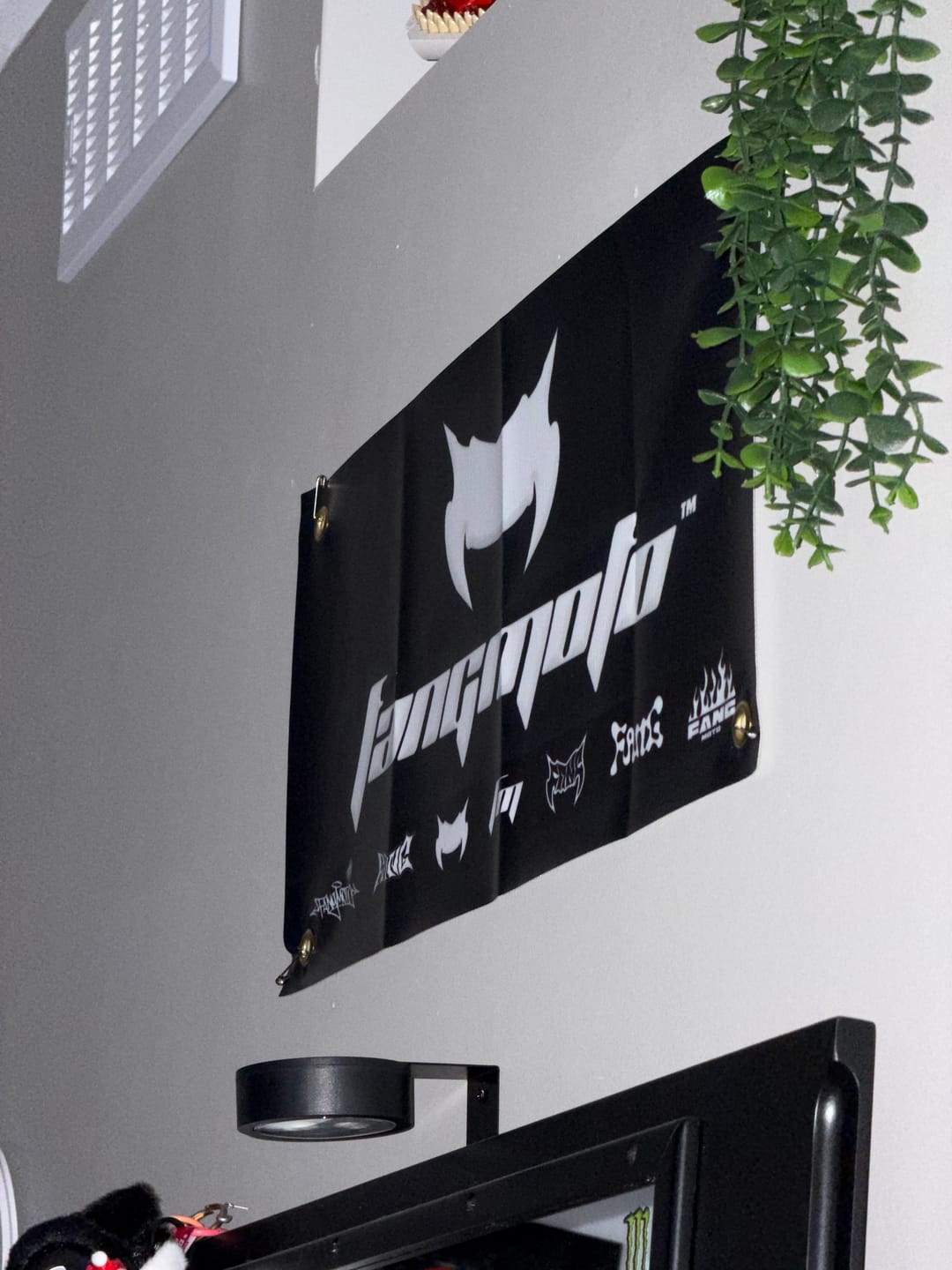 Customer photo review of FangMoto Banner