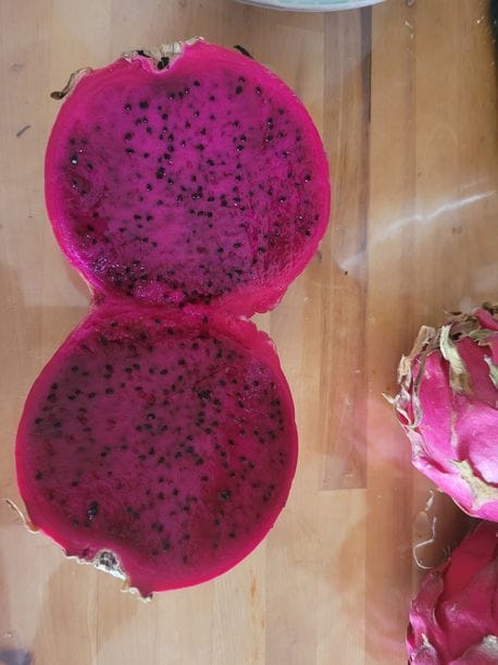 Customer photo review of Drachenfrucht rot von Julian Aktionspreis %