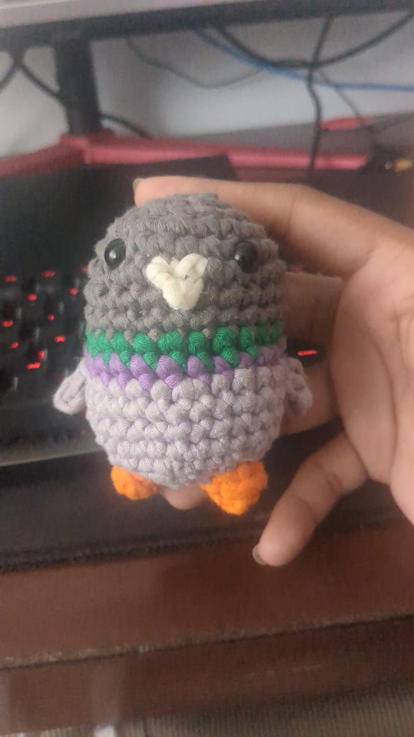 Customer photo review of Marvin The Pigeon Crochet Kit