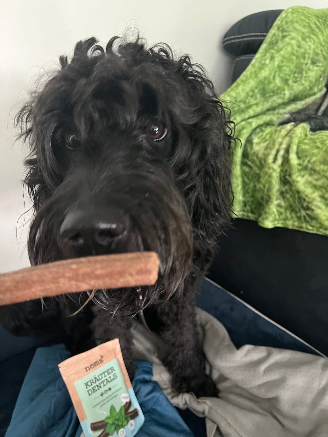 Customer photo review of Kräuter Dentals für Hunde zur Zahn- und Darmpflege (150g)