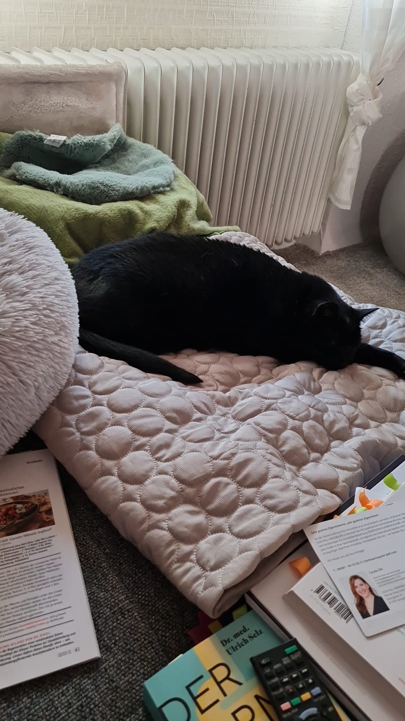 Customer photo review of Kühlmatte Hund – Sommerleicht durchatmen