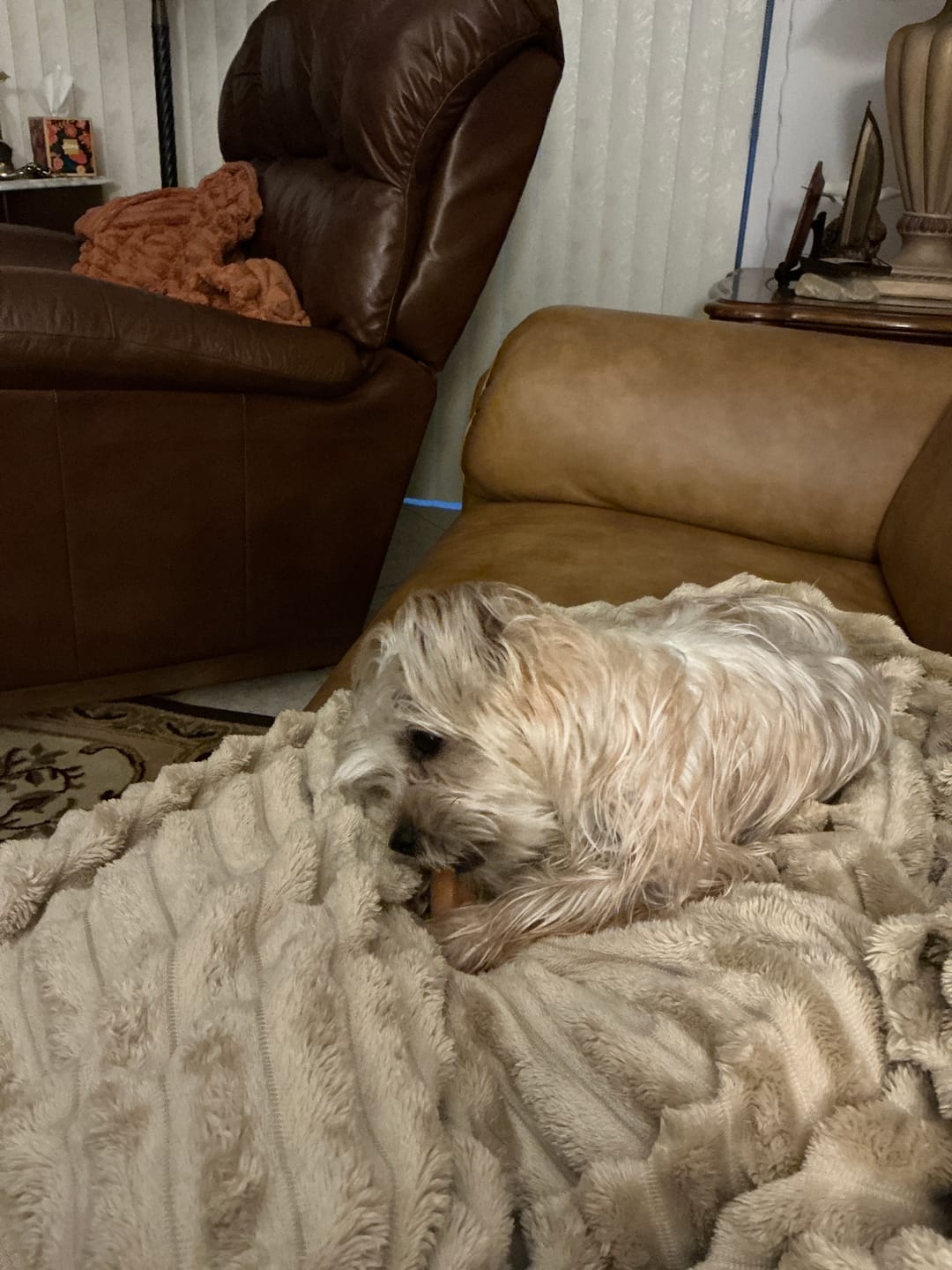 Customer photo review of Pumpkin Yak Chew — Fiber-Rich, Supports Digestion Naturally