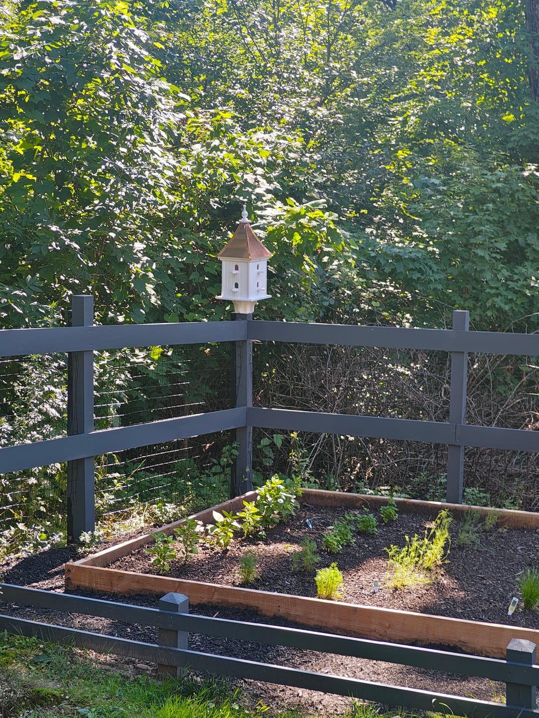 Customer photo review of Sloped Square Copper Roof Birdhouse