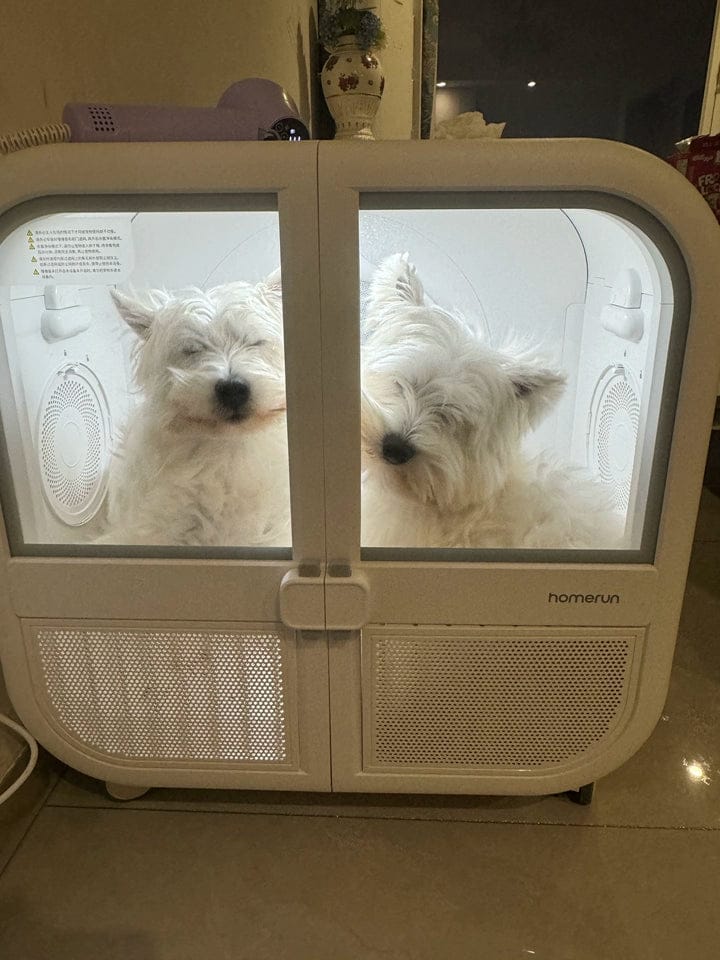 Customer photo review of homerunPET 「Drybo Ultra」ペットドライヤーハウス（7月下旬発送）