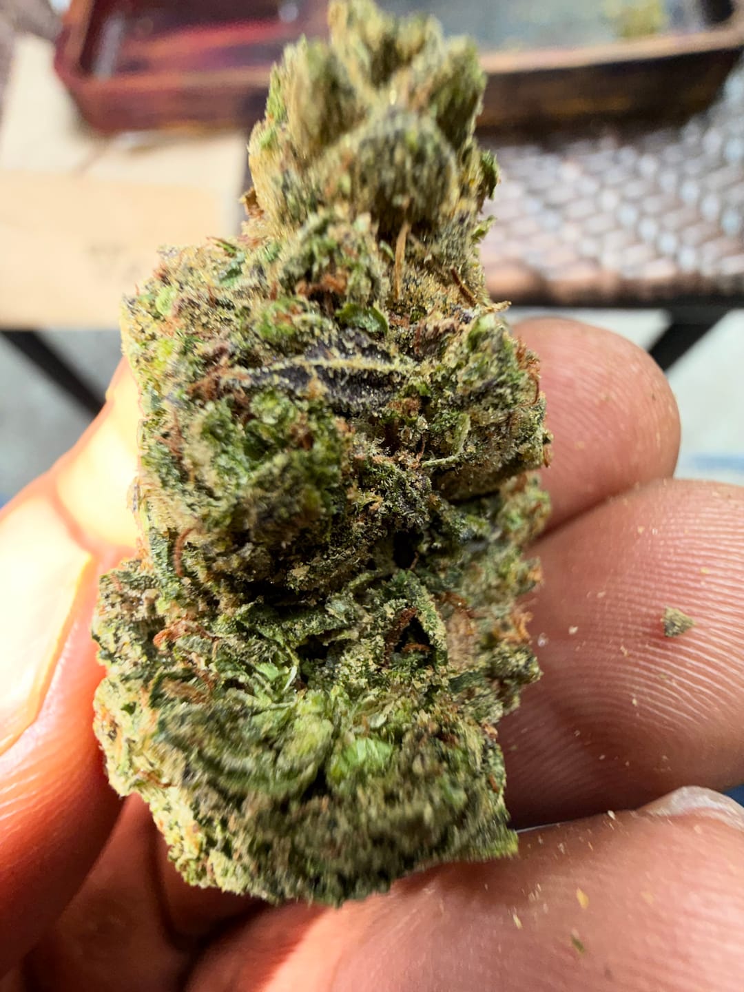 Customer photo review of Runtz x Grease Monkey - Bulk - Indica