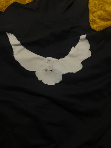 Customer photo review of Yeezy Gap Engineered by Balenciaga Dove Hoodie