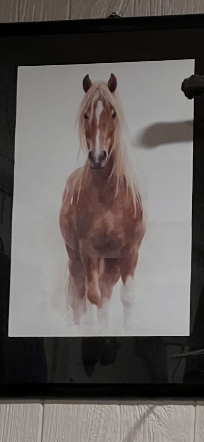 Customer photo review of Water colors - Personalized Poster