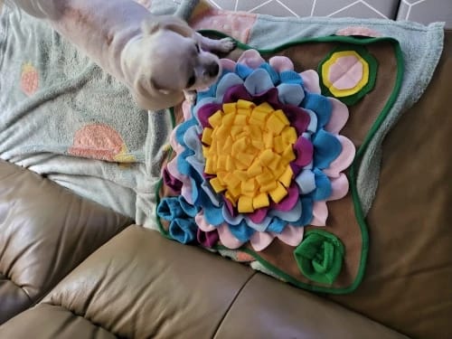 Customer photo review of TruePet Schnüffelmatte Hund | Nasenarbeit & Intelligenzspielzeug | Anti-Langeweile Futtermatte