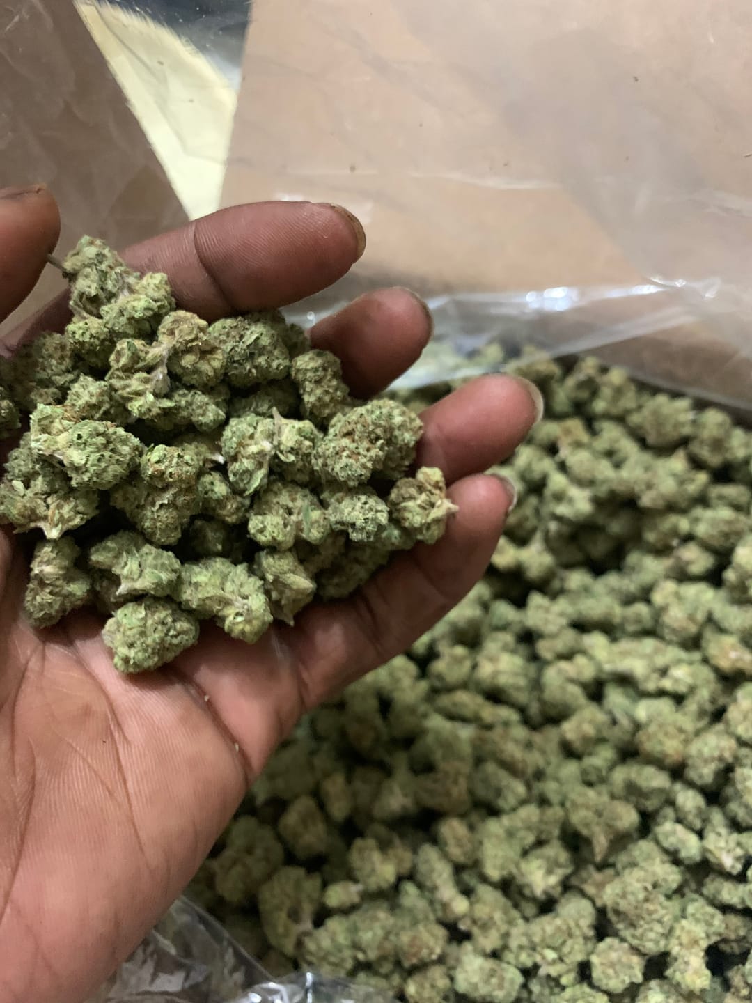 Customer photo review of Blueberry Muffins Minis - Bulk Minis - Indica