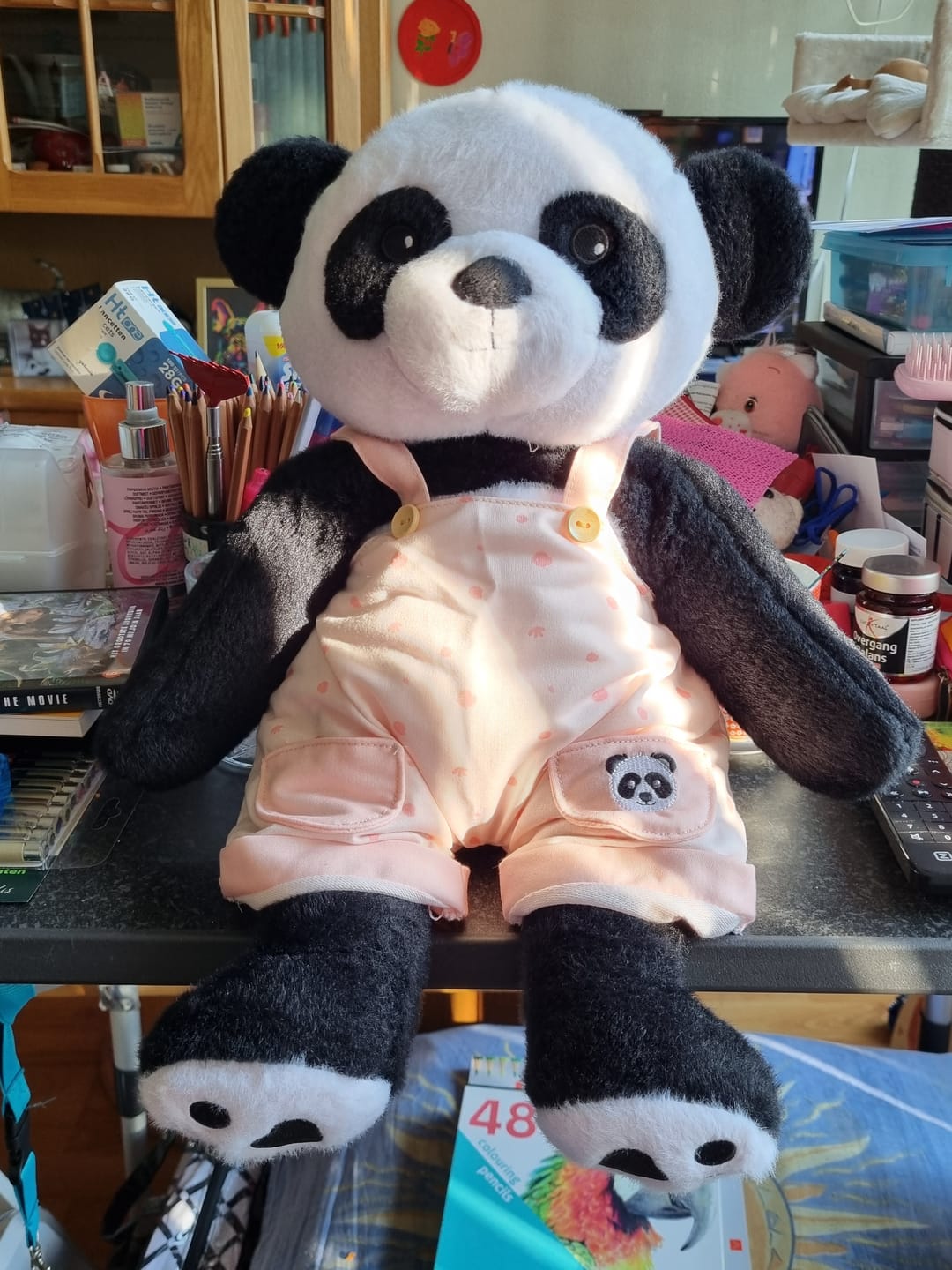 Customer photo review of Panda Kleding Lente Lotgenootje