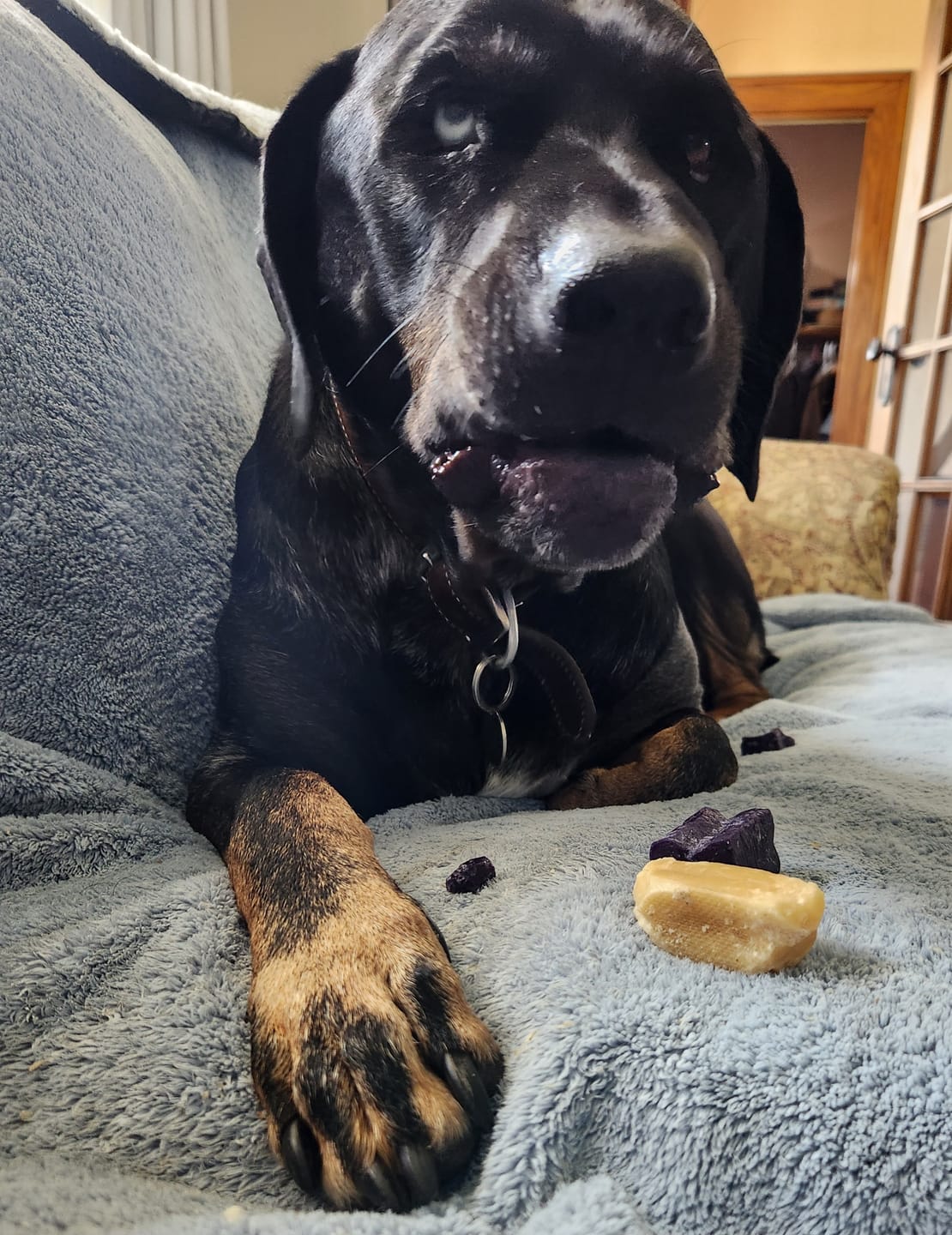 Customer photo review of Himalayan Yak Chew (EXTRA LARGE)
