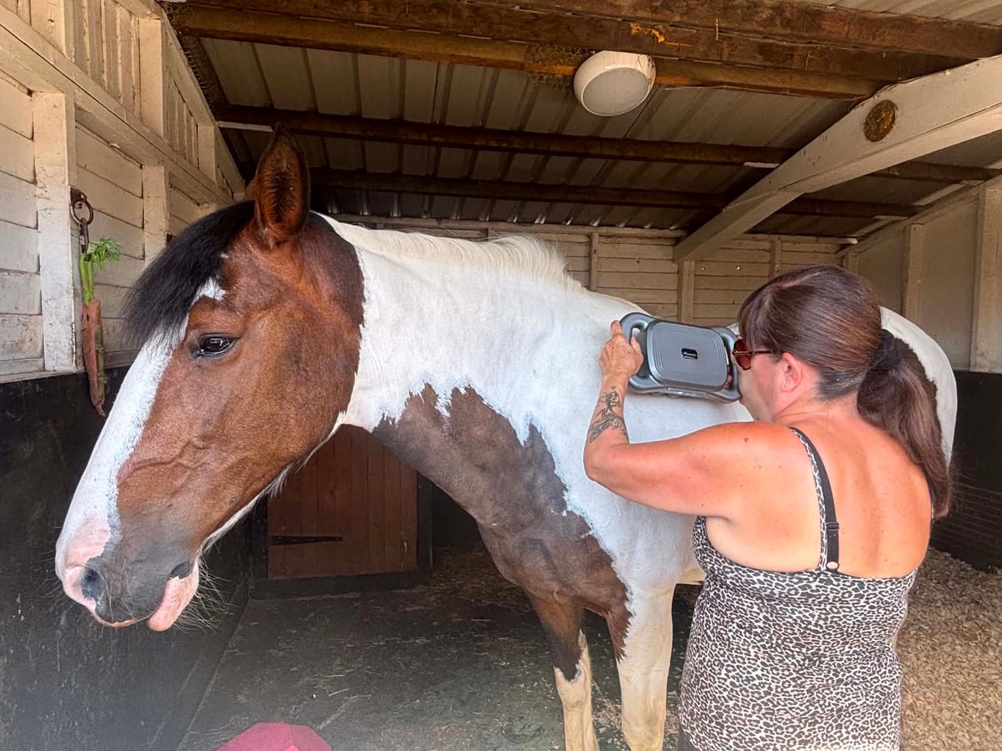 Customer photo review of HorseHalo™ 8 Heads Red Light Massage Gun