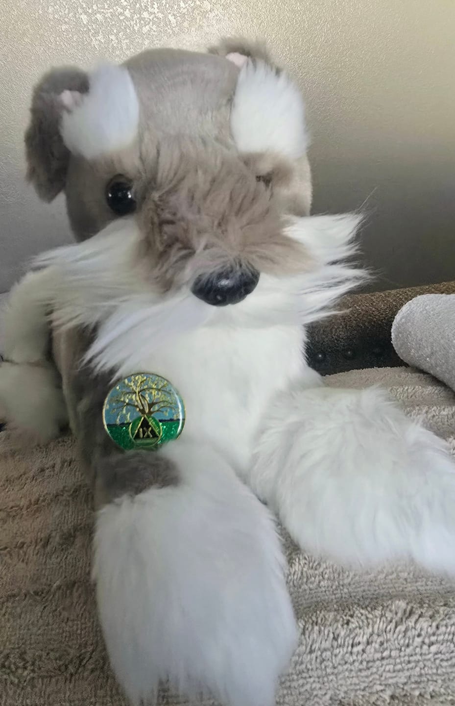 Customer photo review of 9 Year Tree of Life Specialty AA Recovery Medallion - Tri-Plated Nine Year Chip/Coin