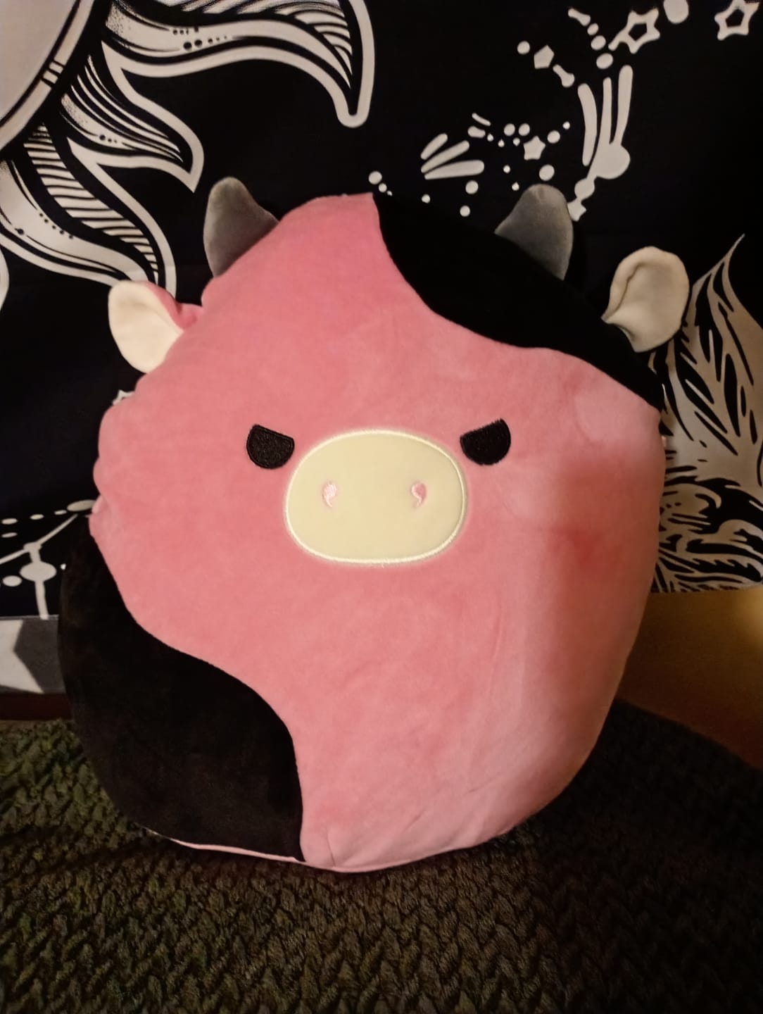 Customer photo review of Pollyanna the Cow Squishmallow 30cm