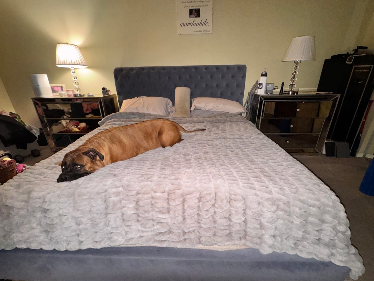 Customer photo review of Biggest Hugs Tranquil Dove Blanket