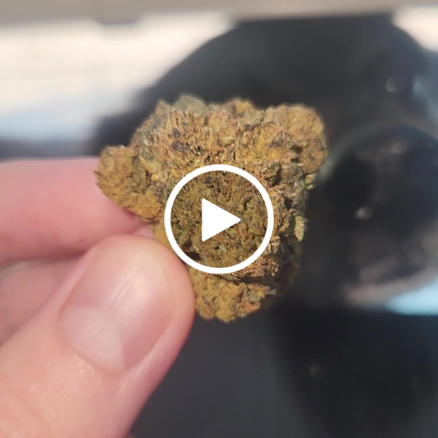 Customer video review of Biscotti Cake - 28 Grams - Hybrid