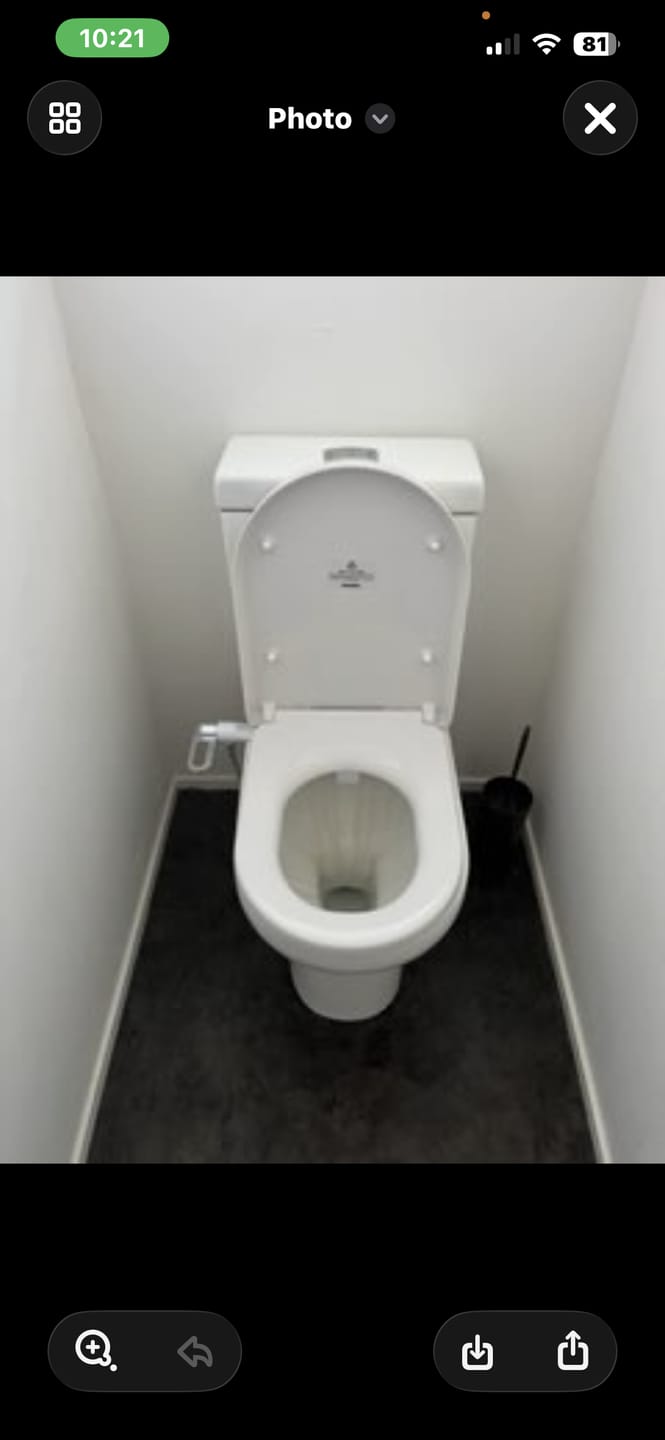Customer photo review of Hygienex® Original Bidet 2.0