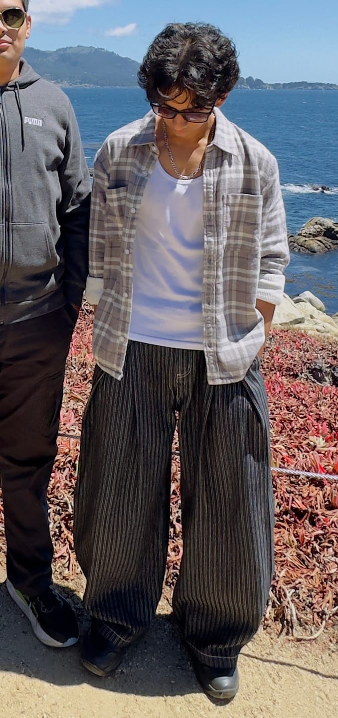 Customer photo review of Aelfric Eden Pinstripe Baggy Barrel Jeans