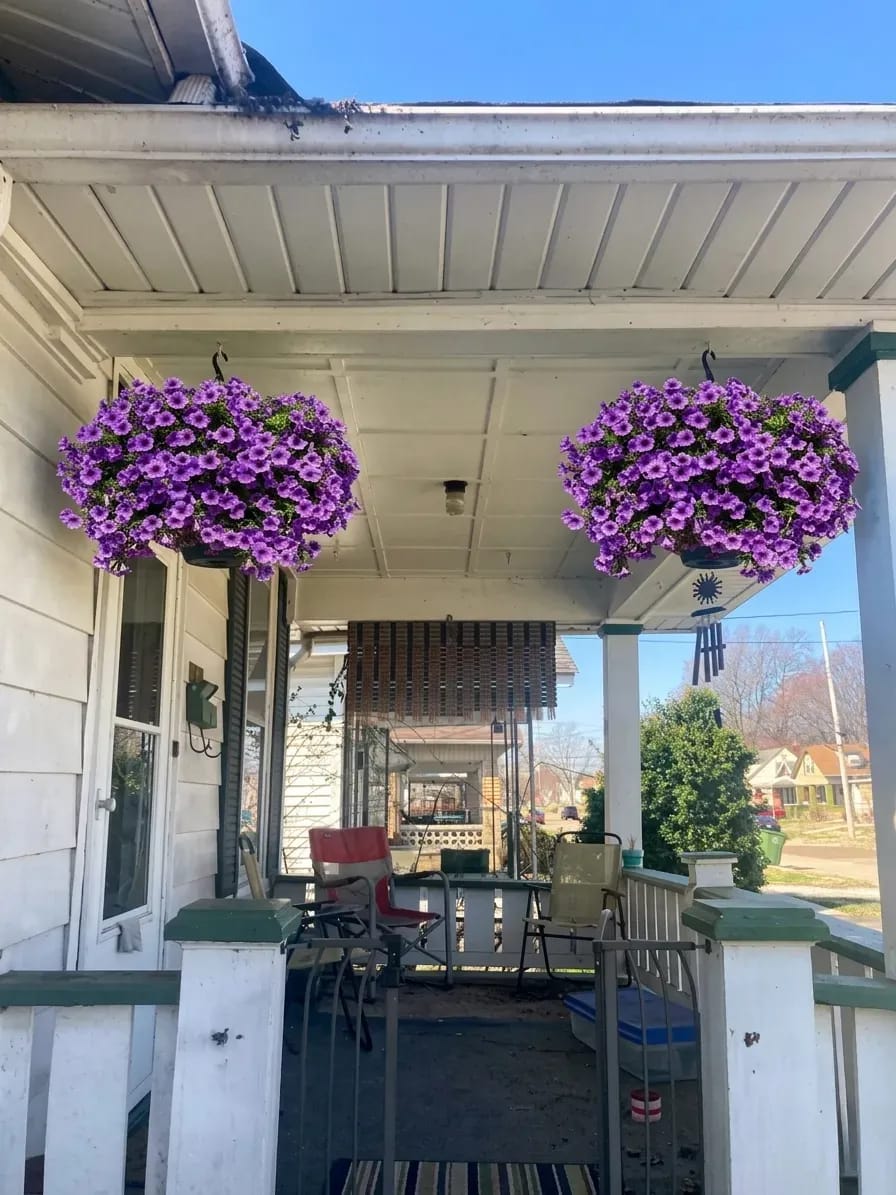 Customer photo review of 🏆2026 Super Value Set🔥UV Resistant Artificial Petunias Flowers