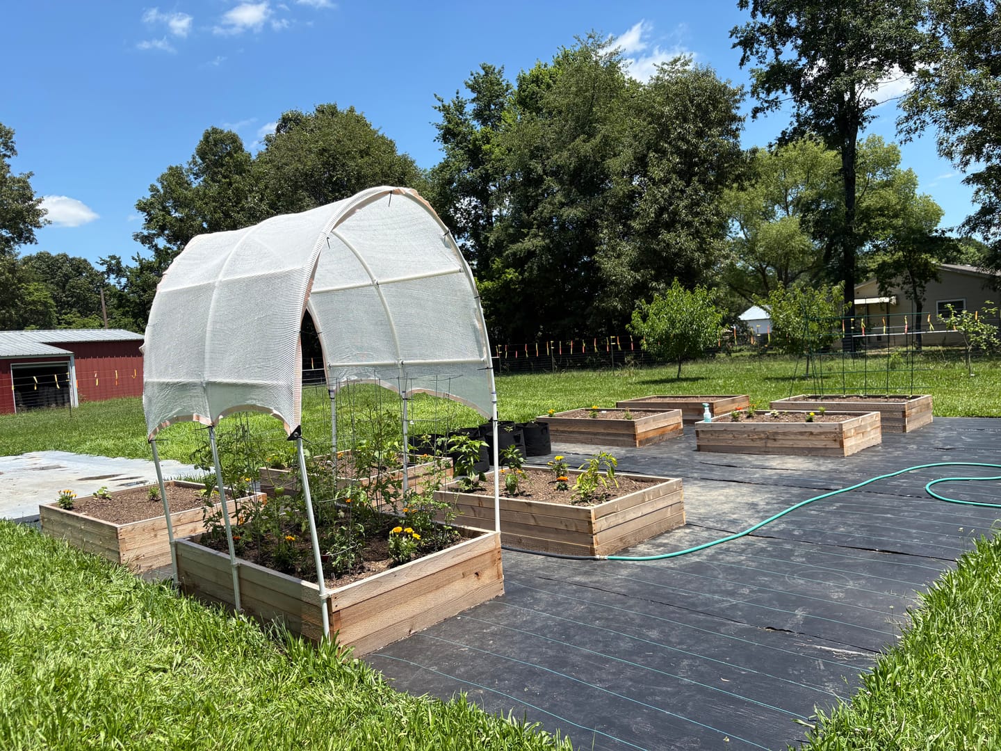 Customer photo review of 40% Shade Cloth