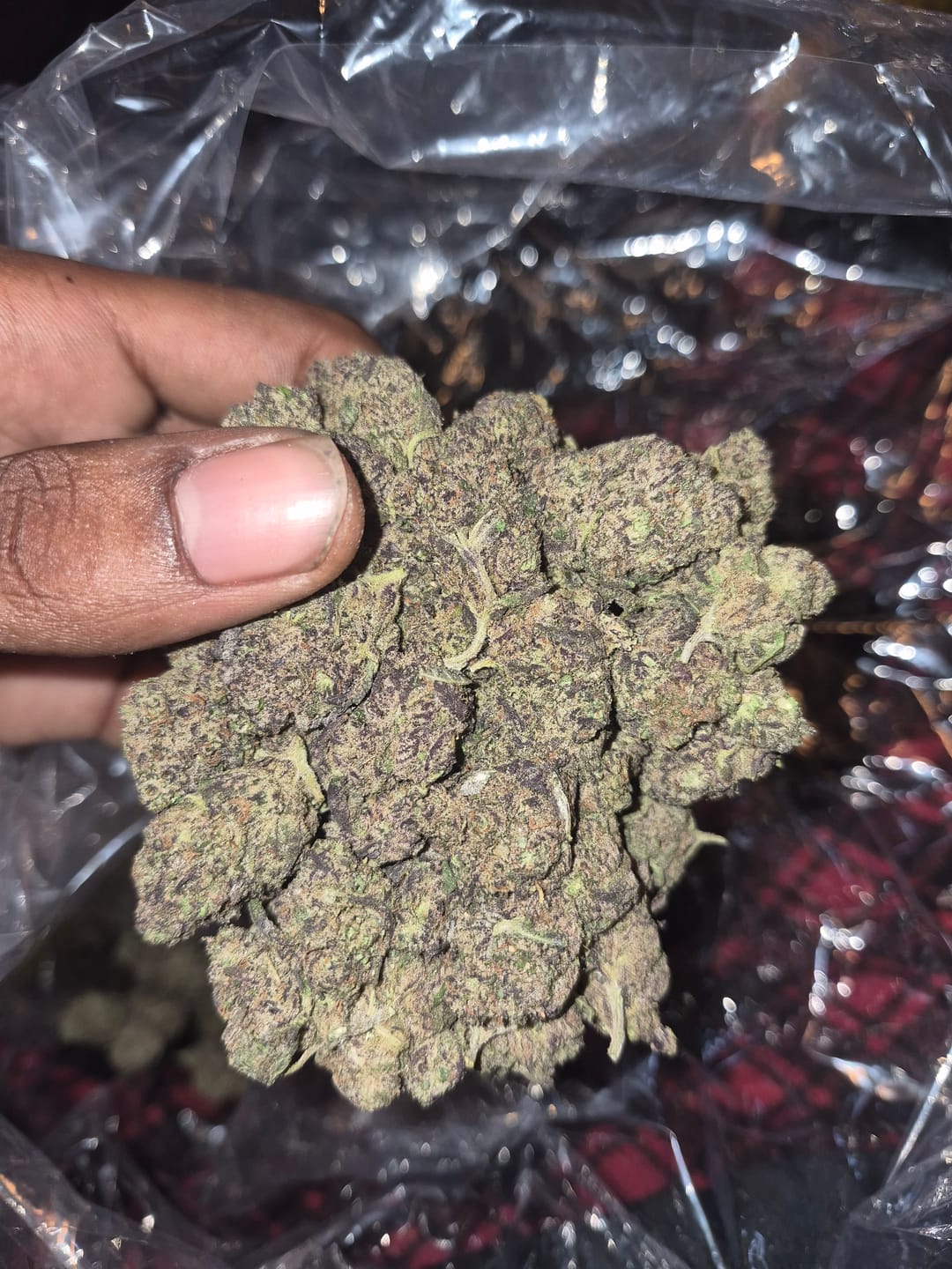 Customer photo review of Icy Pop - Bulk - Hybrid
