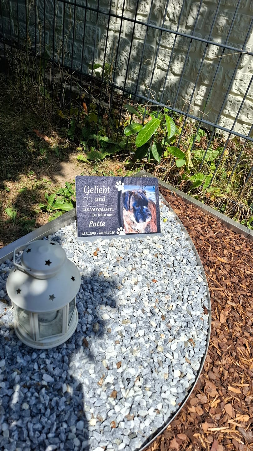 Customer photo review of Hunde Gedenktafel mit Foto & Spruch (UV- &  Wetterfest)