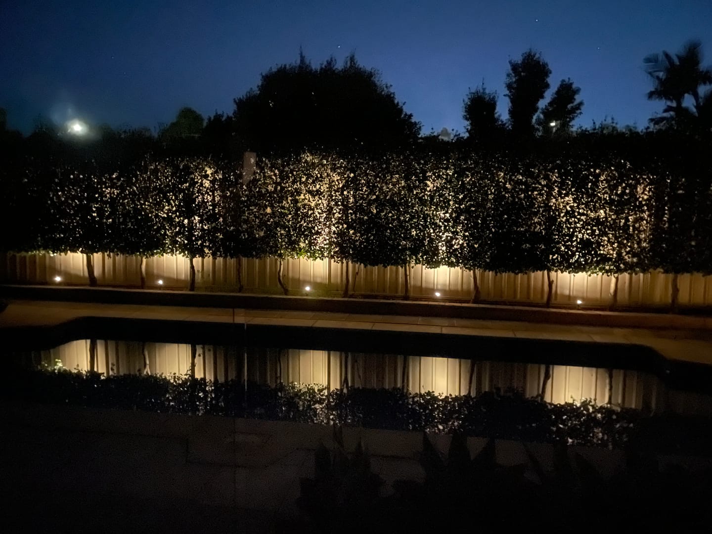 Customer photo review of GardenBrite™ Solar Spotlight Pack