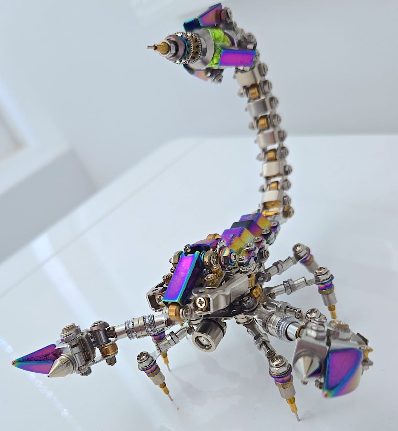 Customer photo review of Rage Scorpion