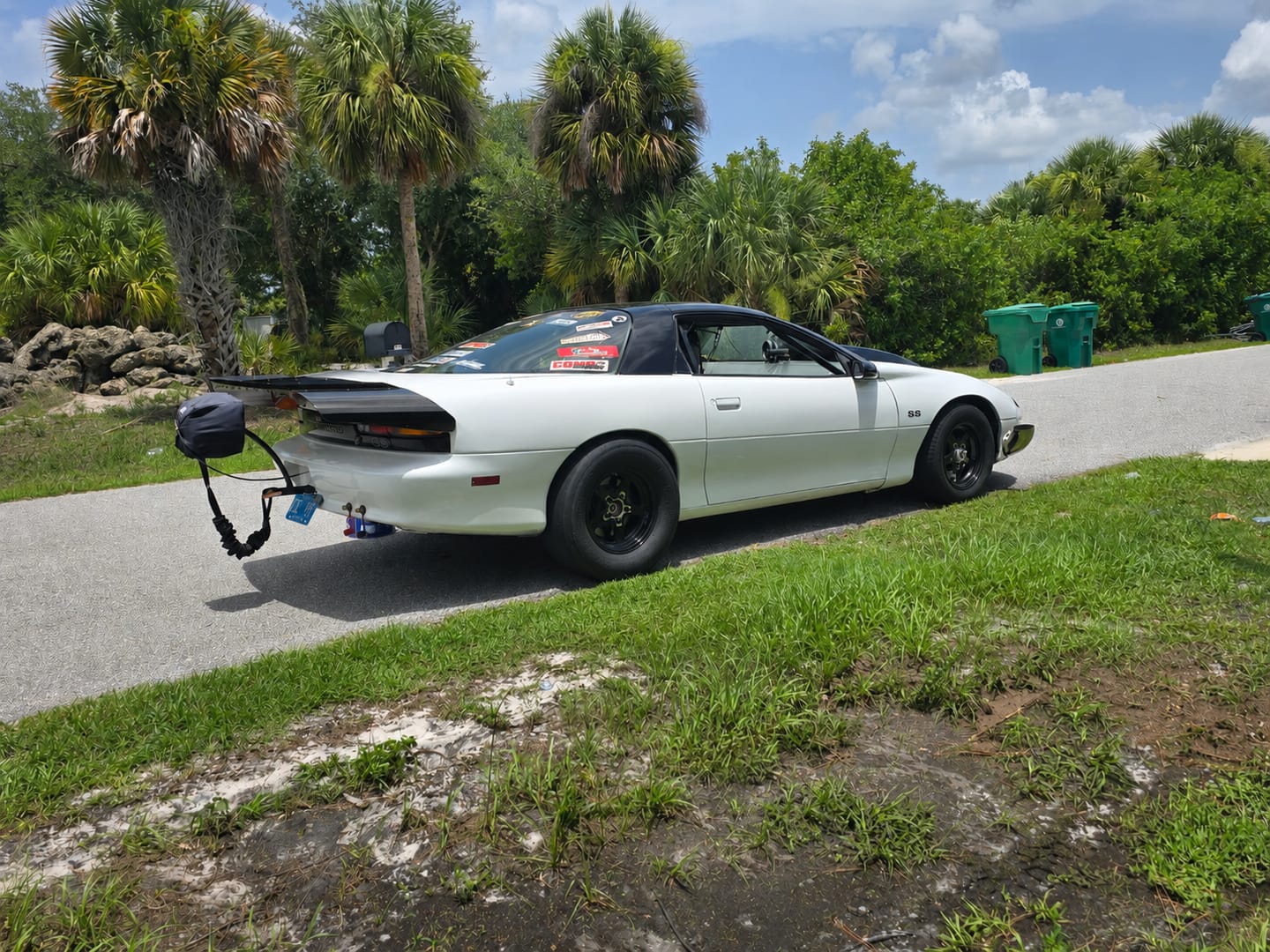 Customer photo review of 1993-2002 4th Gen Camaro 15" Strutless Drag Wing w/ Adjustable Wicker 31-180
