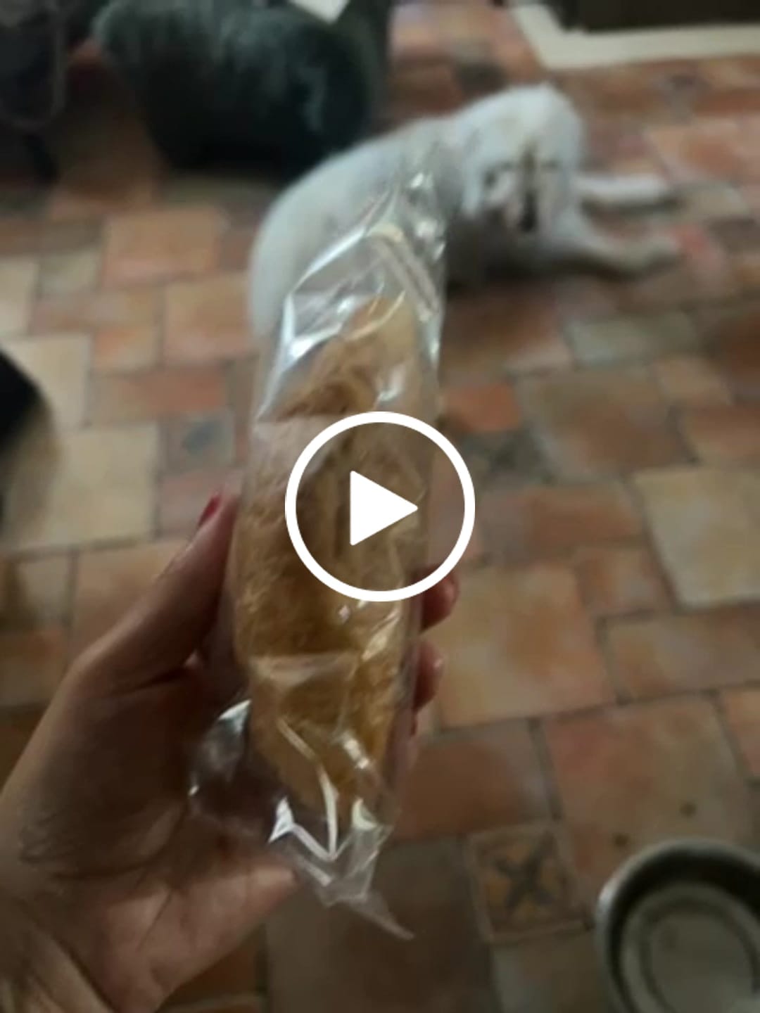 Customer video review of 15 Cornetti proteici ripieni alla Vaniglia